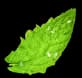 mint leaves 1