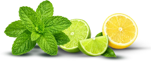 LIME LEMON MINT içindekiler